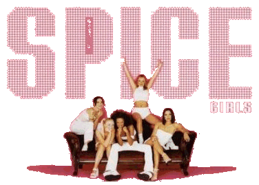 Be the 5th Spice Girl